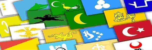 Fors Bayrak Ürünler 15 - Eski Türk Devletleri